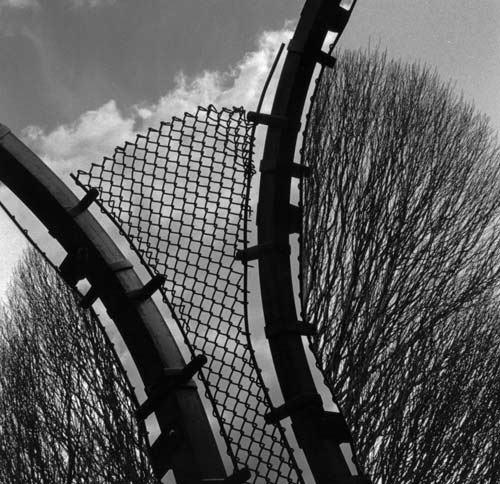 Bridge and tree branches 2007