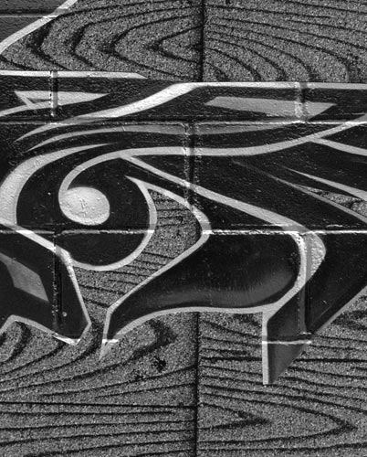 Suburban wood grain with urban graffiti 2007