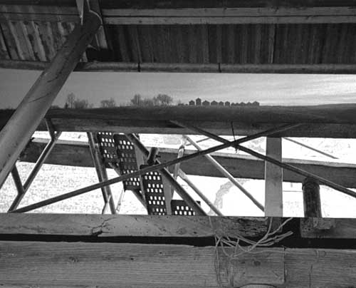 scaffolding with Alberta landscape 2003