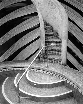 BW curving lines of palm fronds arch out from mosaic stairs at swimming pool