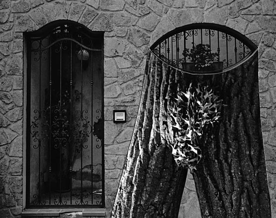 B&W gate, tree branches form legs and torso