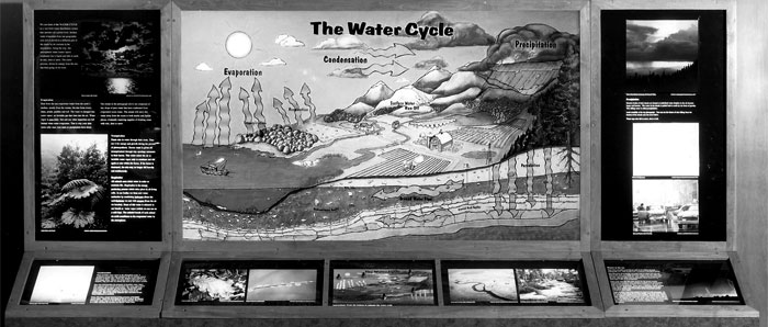 Water Cycle interactive display
